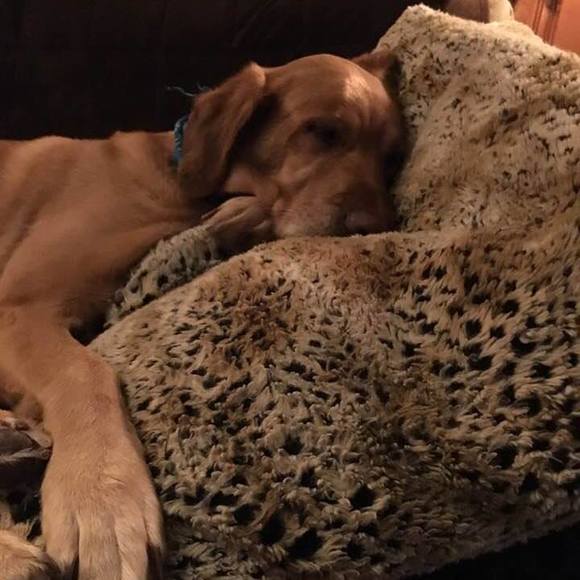 Meet your Posher, Michelle - Picture 1 of 1